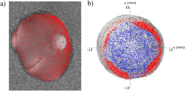 Fig. 7.