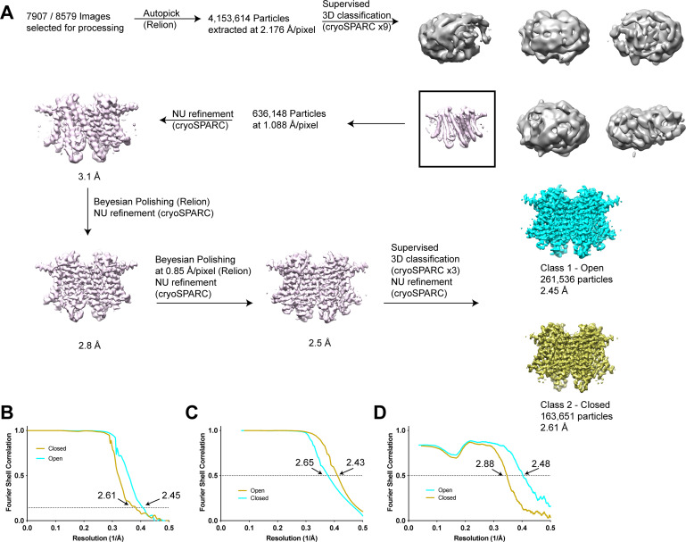 Figure 1—figure supplement 1.