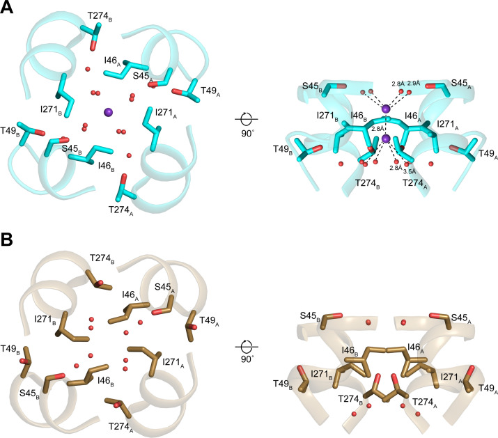 Figure 1—figure supplement 2.