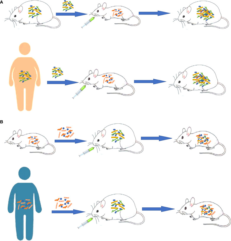 Figure 3