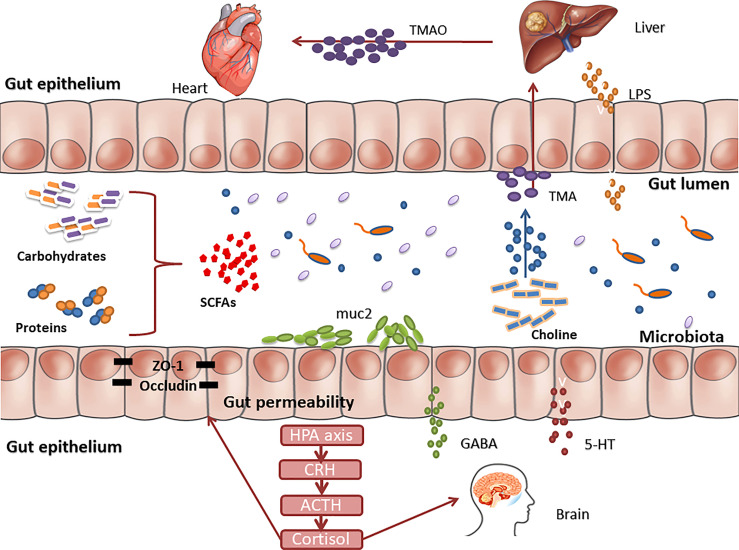 Figure 2