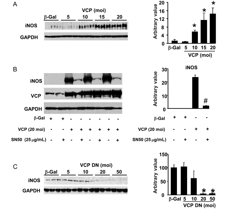 Figure 3