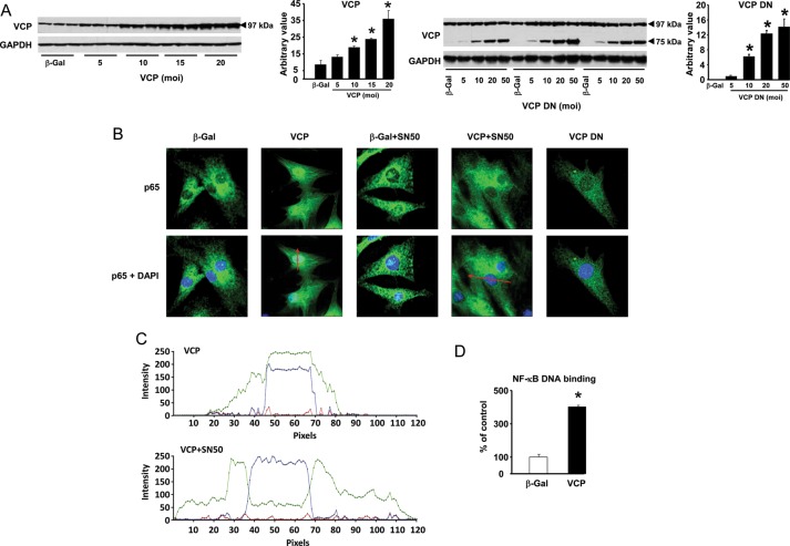 Figure 2