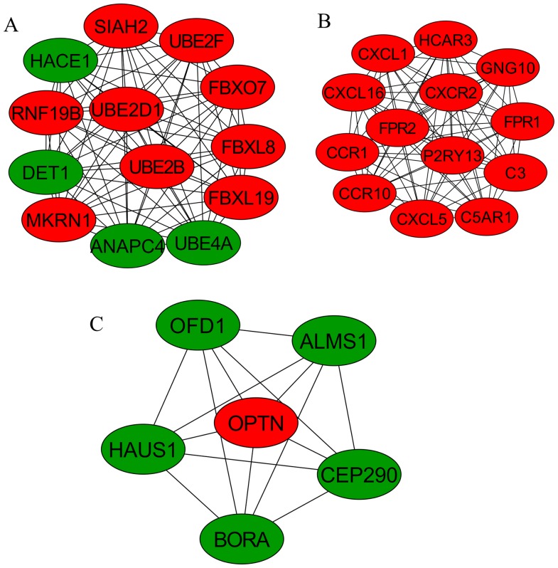 Figure 4.