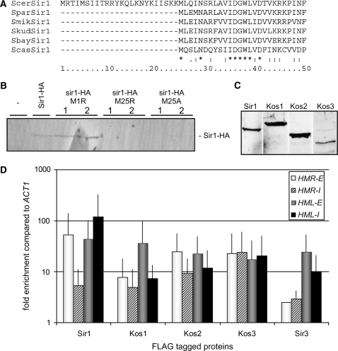 Figure 3.—