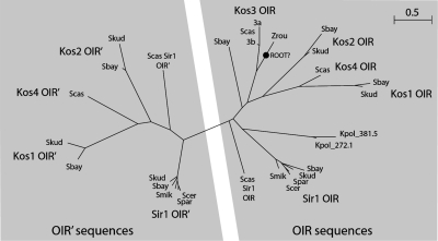 Figure 2.—