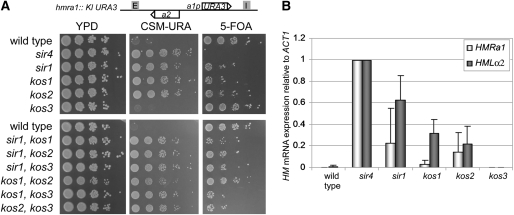 Figure 4.—