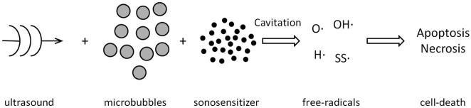 Fig. 1