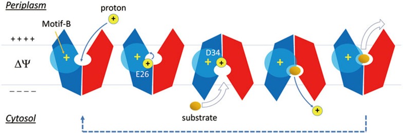 Figure 6