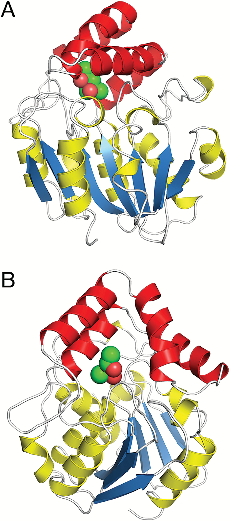 Fig. 1.