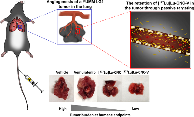 graphic file with name nihms-1705489-f0001.jpg