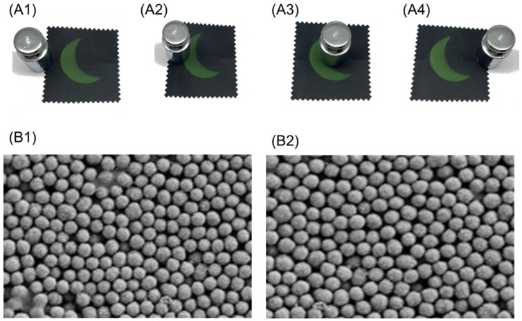 Figure 12