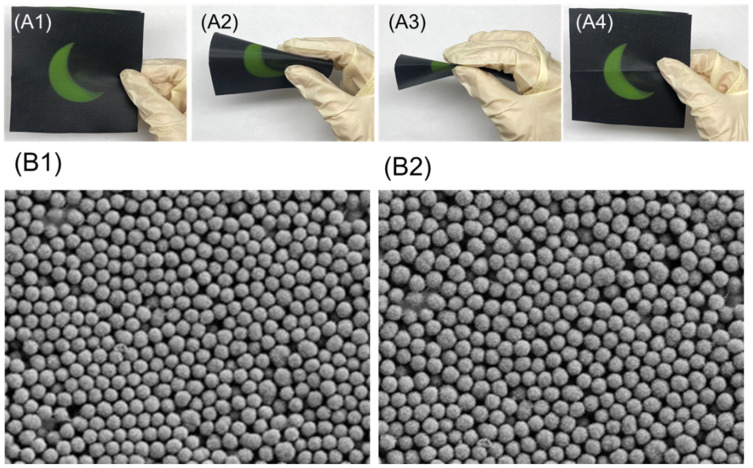 Figure 11