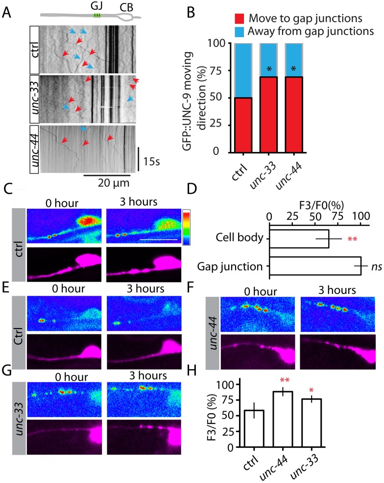 Fig 4