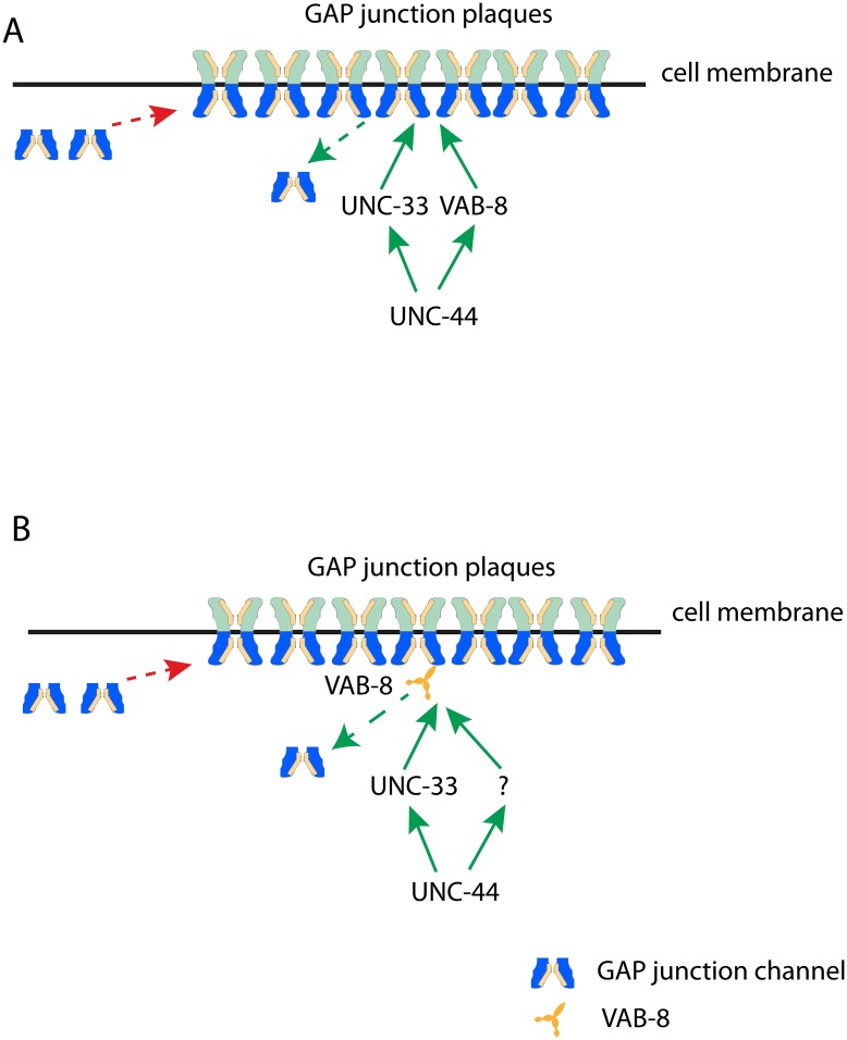 Fig 6