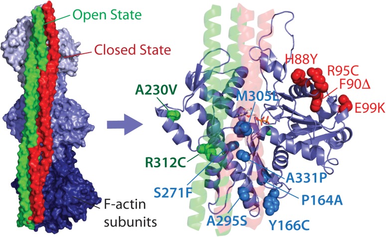 FIGURE 1