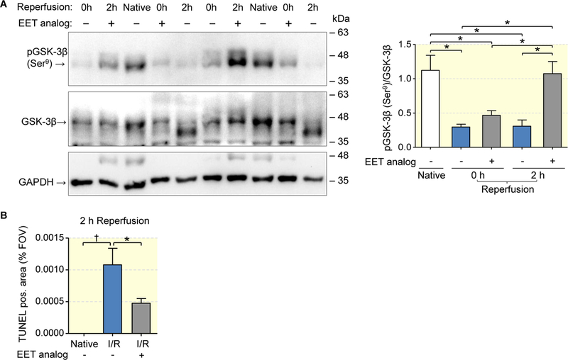 Figure 7: