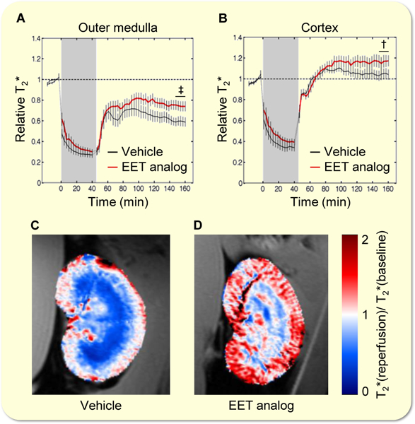 Figure 5: