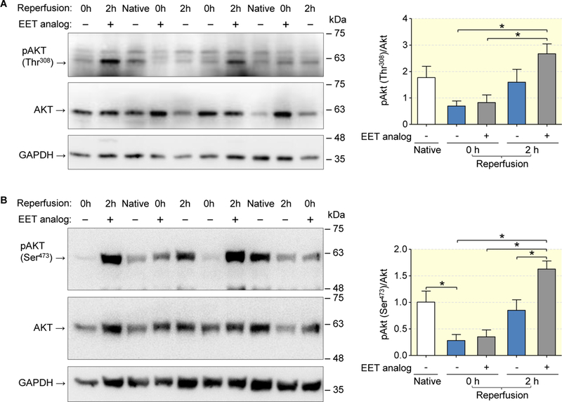 Figure 6: