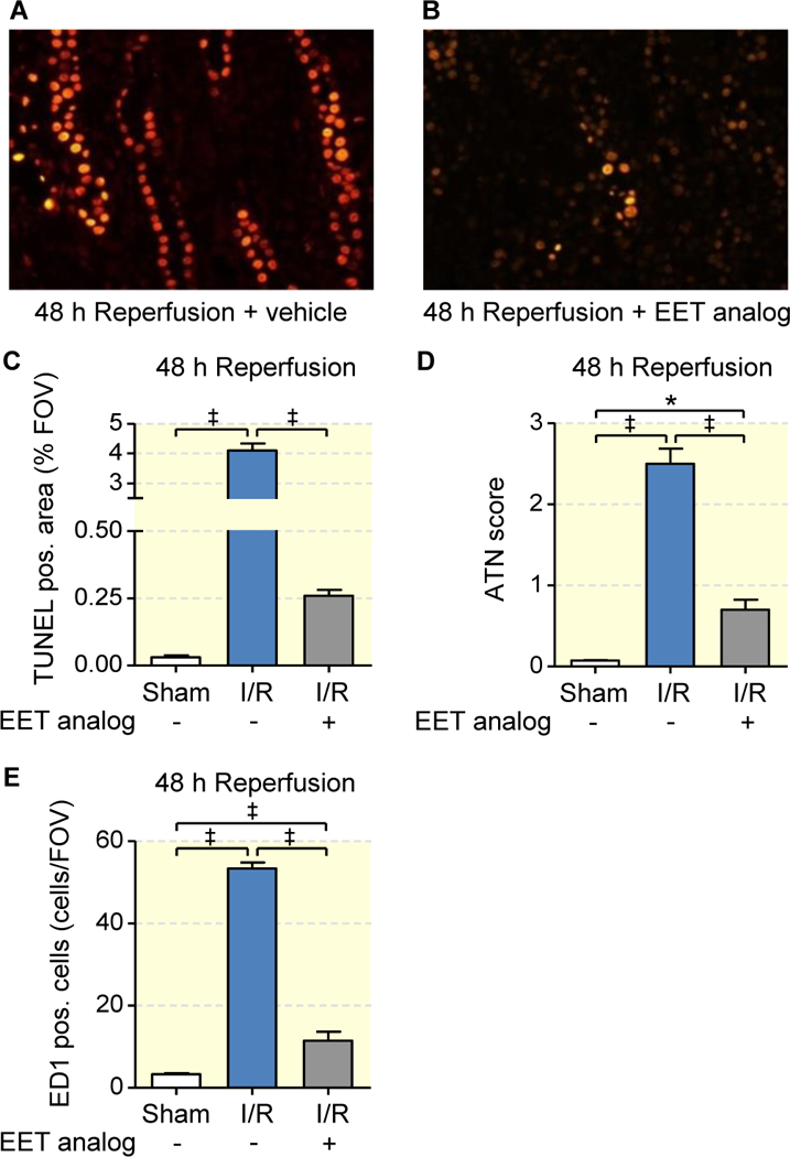 Figure 4: