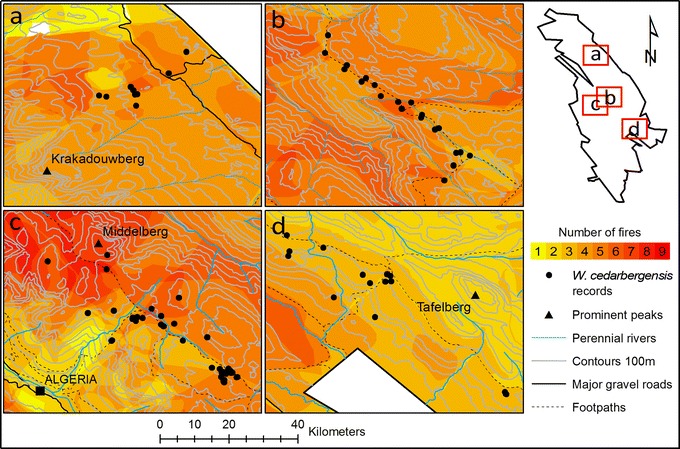 Fig. 4