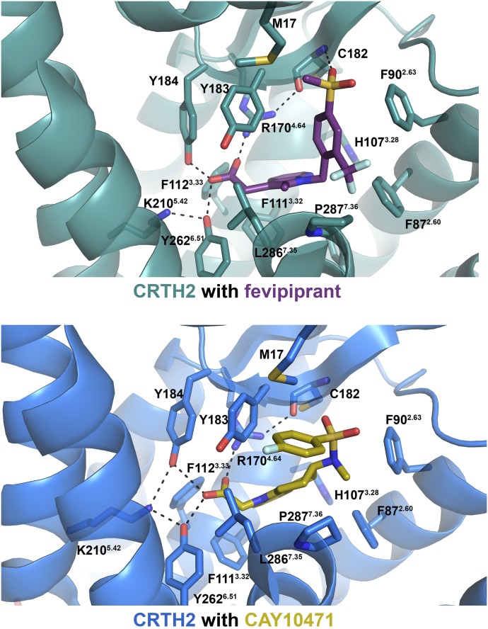 Fig. 7.