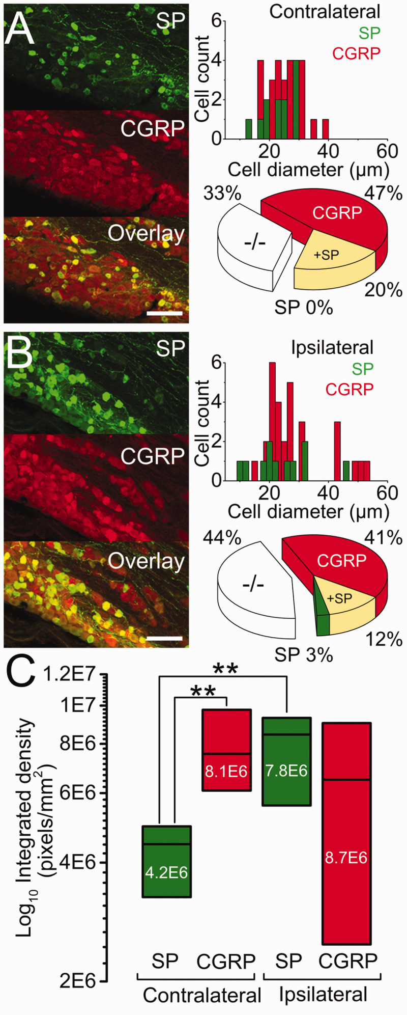 Figure 4.