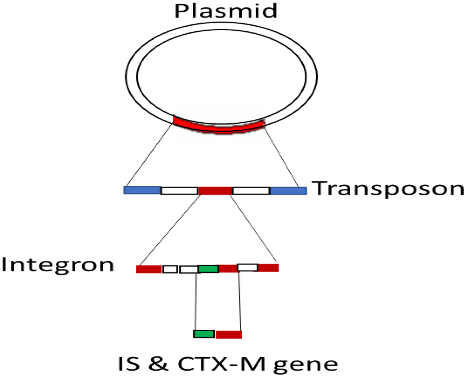 Figure 2: