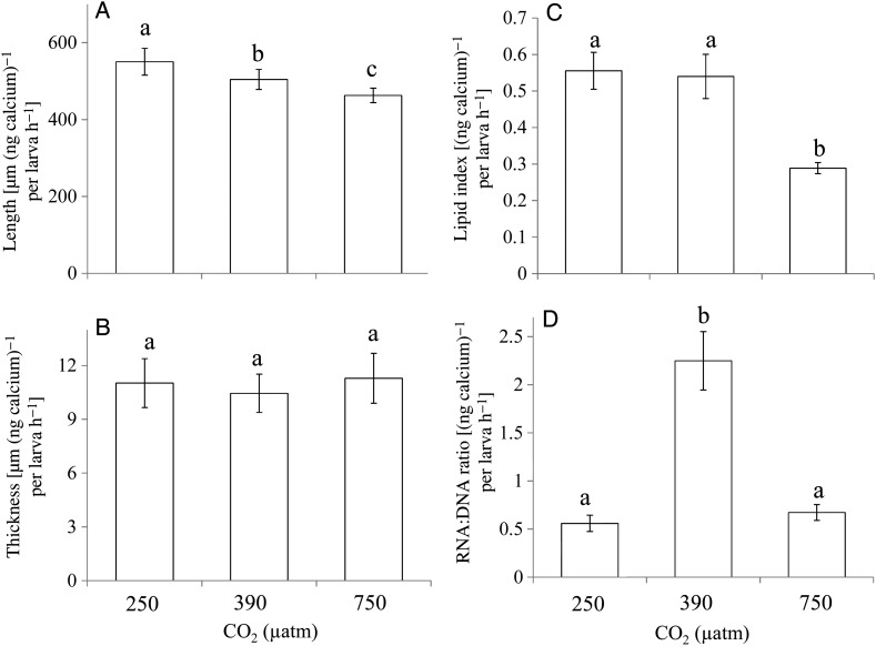 Figure 5: