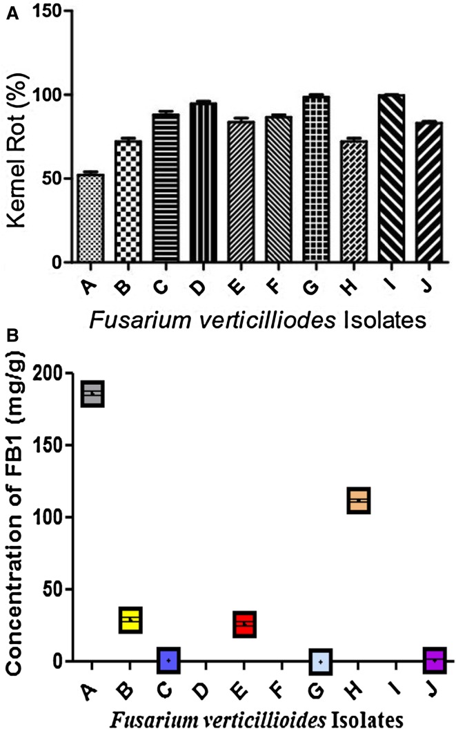 Fig. 7