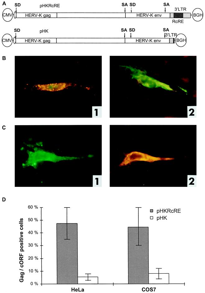 FIG. 4