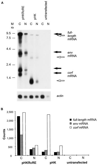 FIG. 5