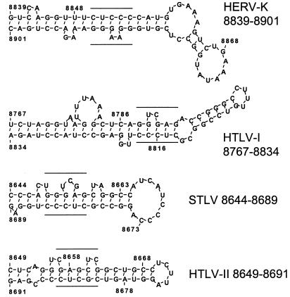 FIG. 7