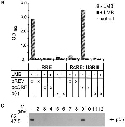 FIG. 6