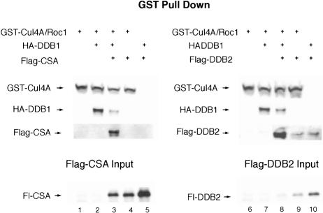 Figure 4.