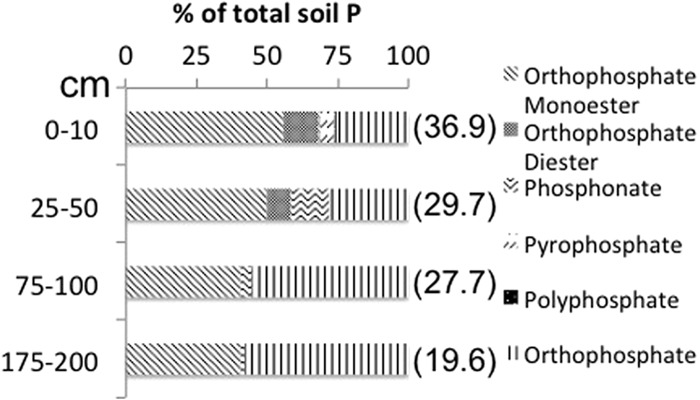 FIG 1