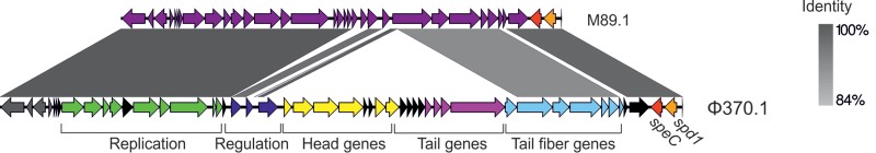 FIG 4 