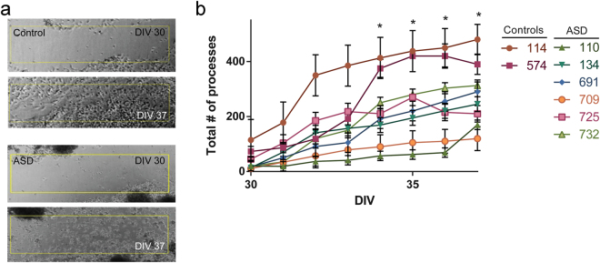 Figure 6