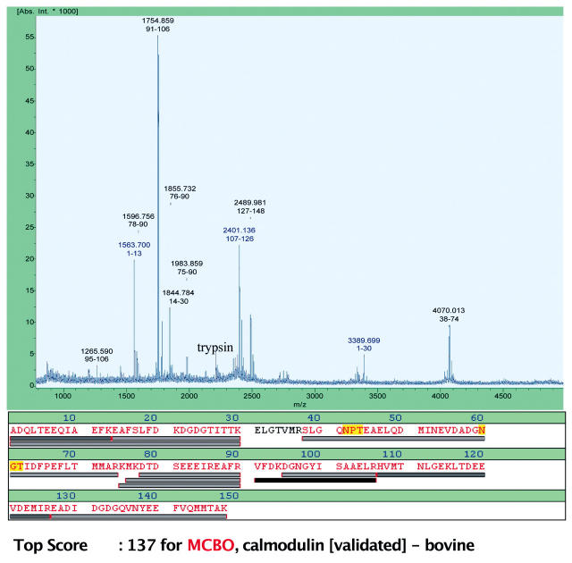 FIGURE 3