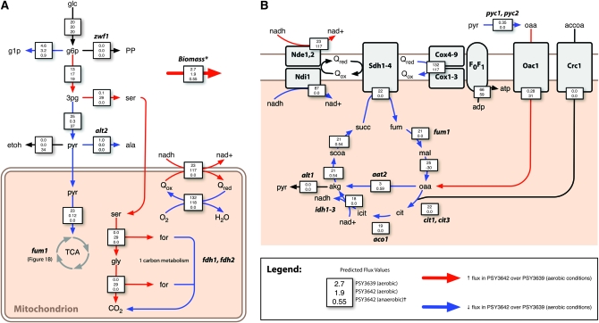 Figure 1.—