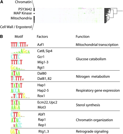 Figure 3.—