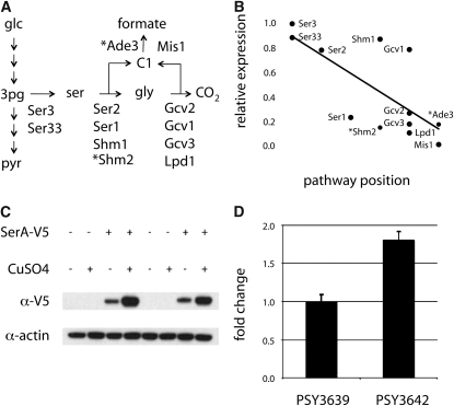 Figure 6.—