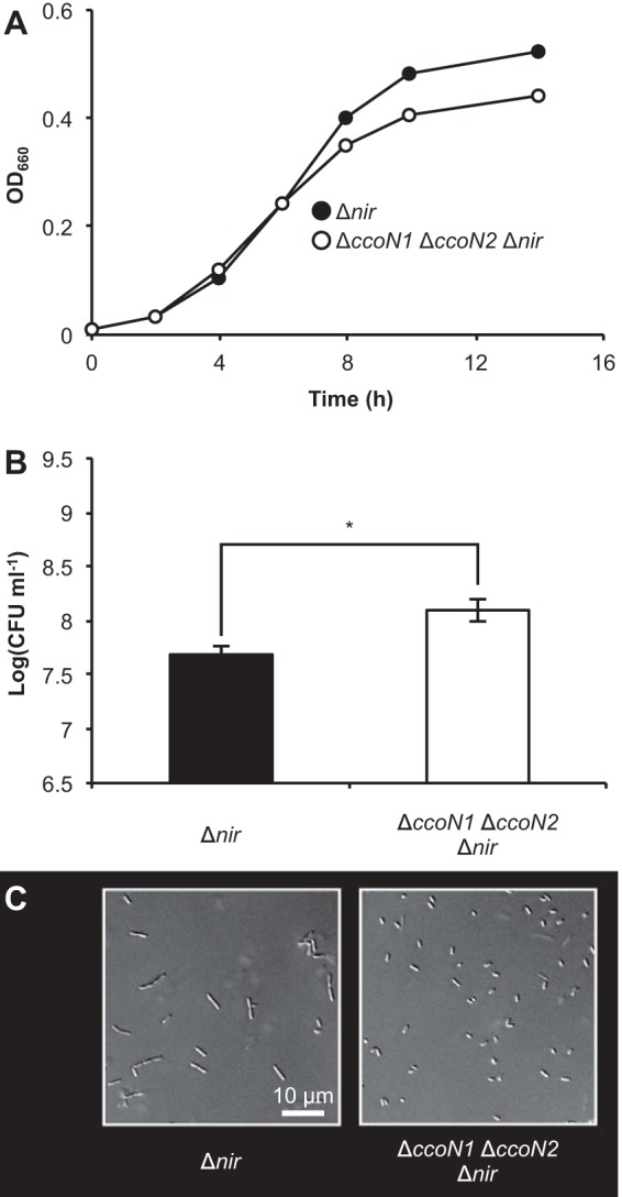 FIG 3