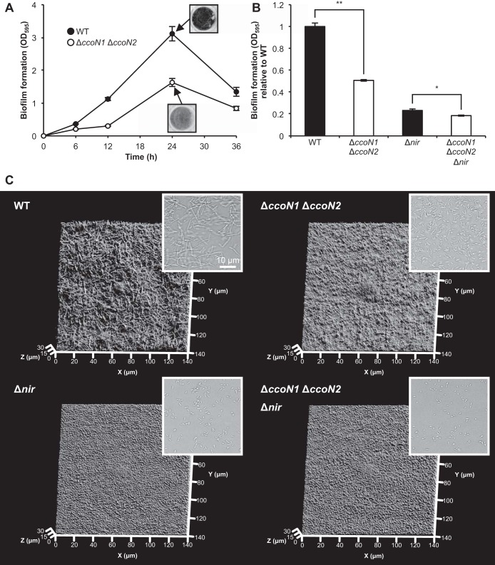 FIG 6