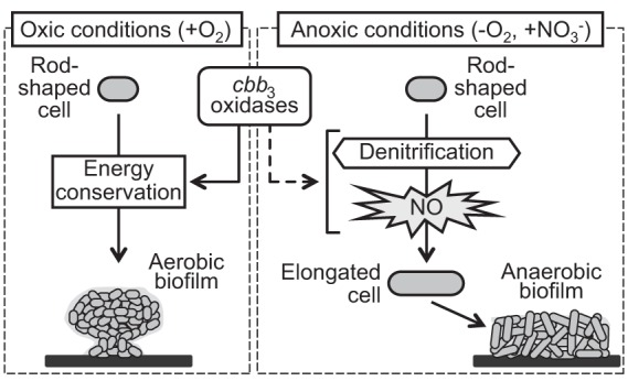 FIG 7