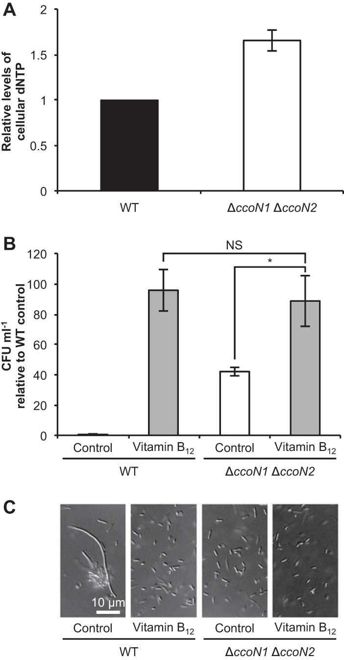 FIG 4