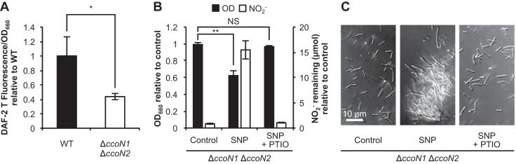 FIG 5