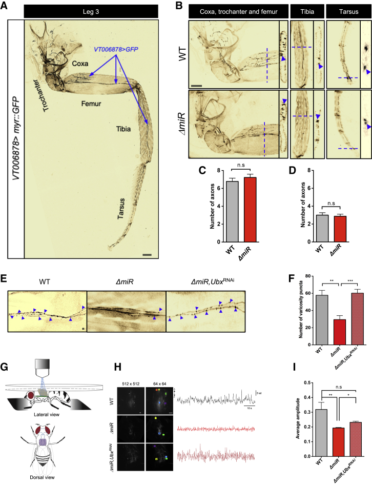 Figure 5