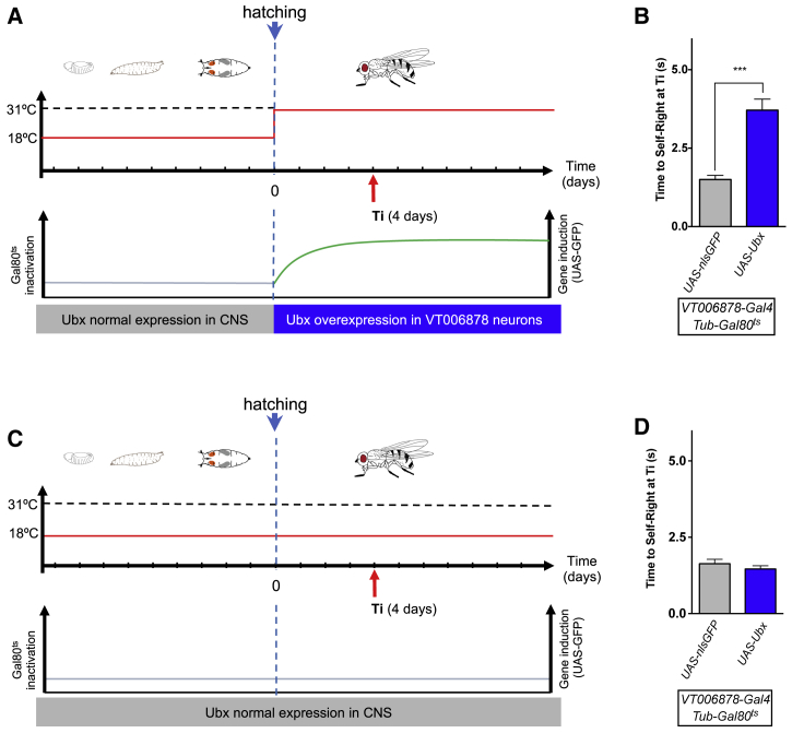 Figure 6