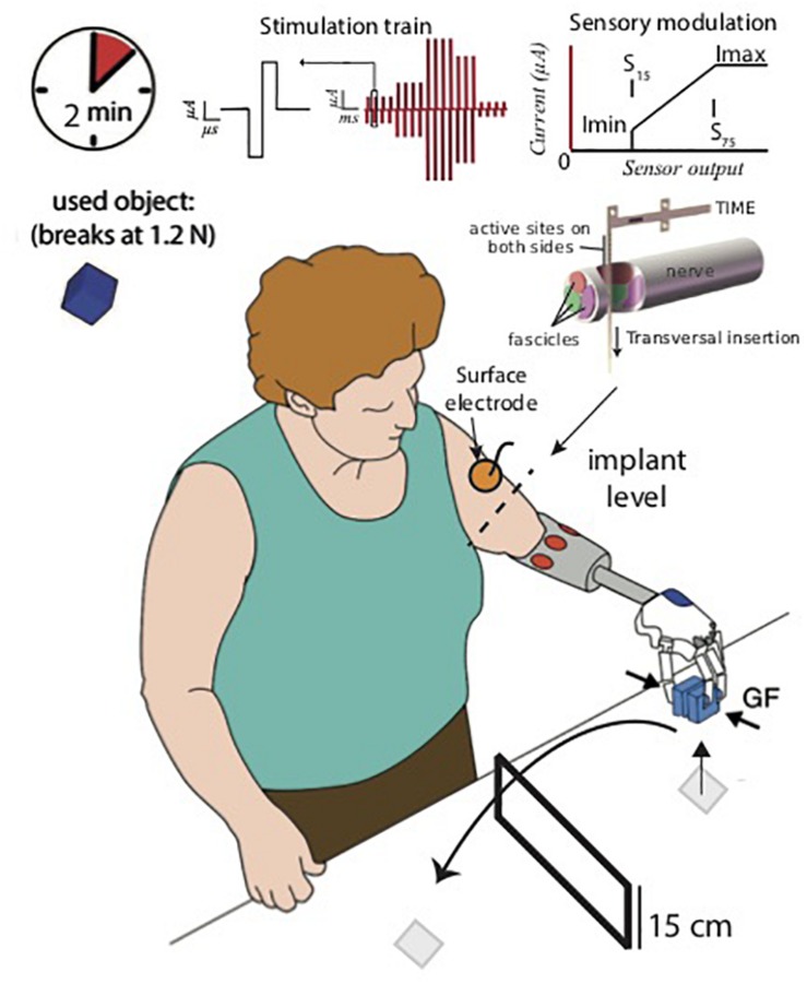 FIGURE 1